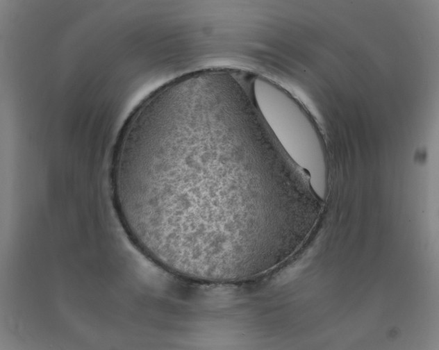 X0000092020991200709271545