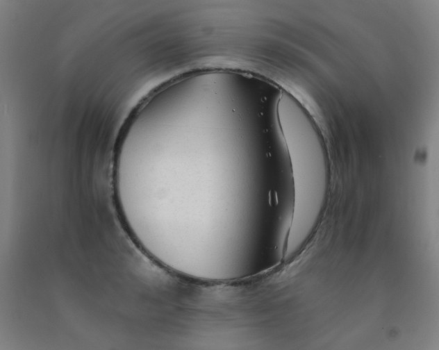 X0000092020992200709271545