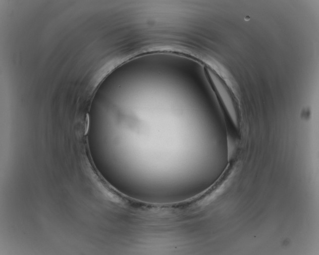 X0000092020993200709271545