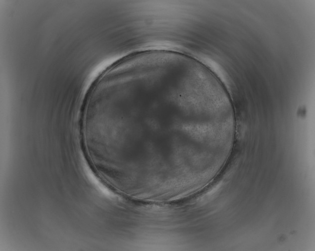 X0000092020995200709271545