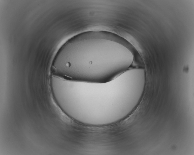 X0000092020996200709271545