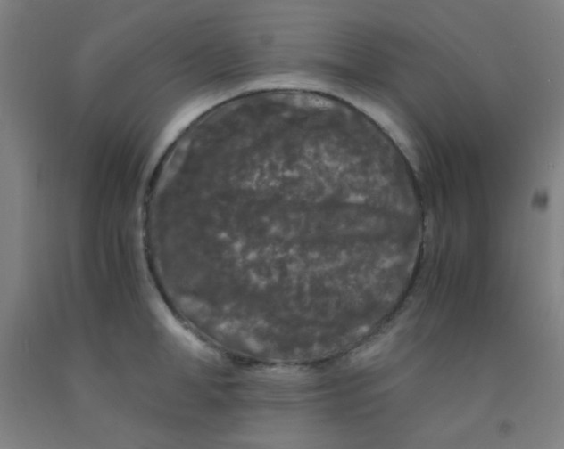 X0000092020998200709271545