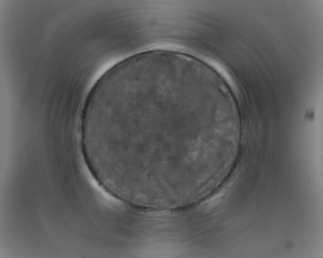 X0000092020999200709271545