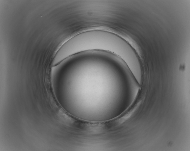 X0000092021001200709271545