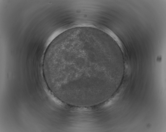 X0000092021002200709271545