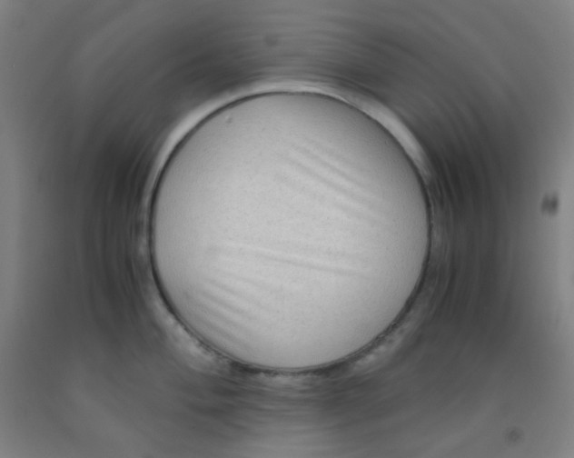 X0000092021004200709271545