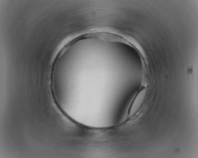 X0000092021005200709271545