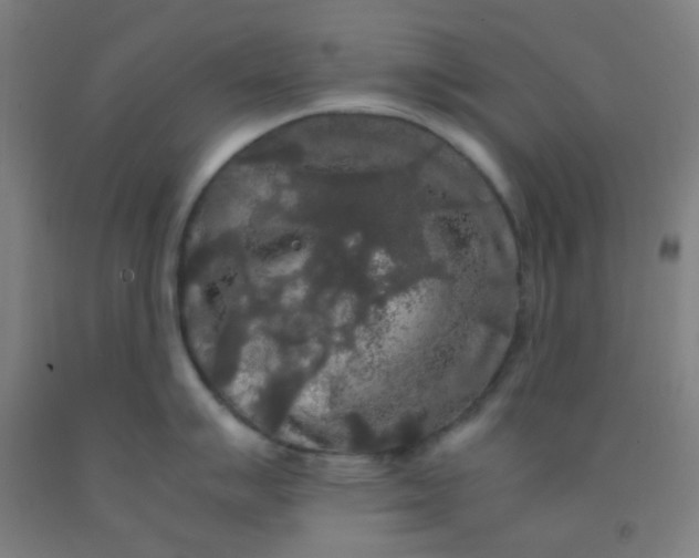 X0000092021007200709271545