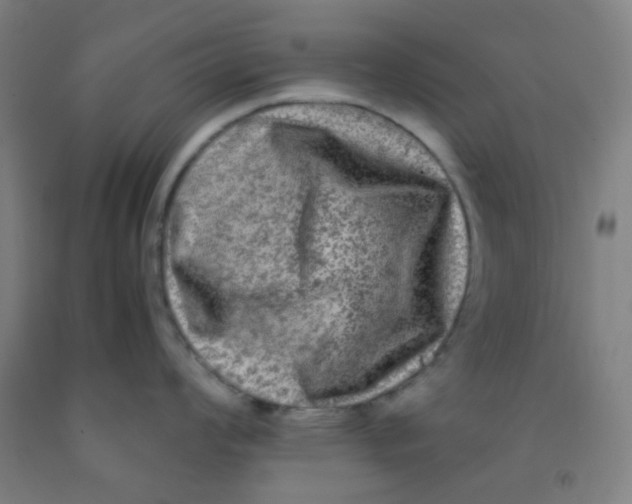 X0000092021008200709271545