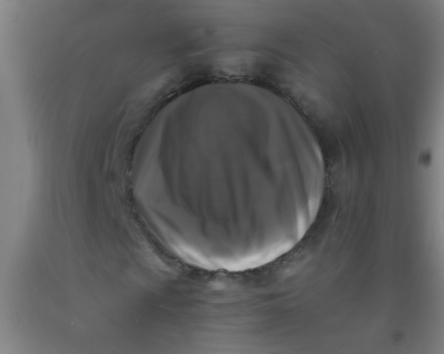 X0000092021009200709271545