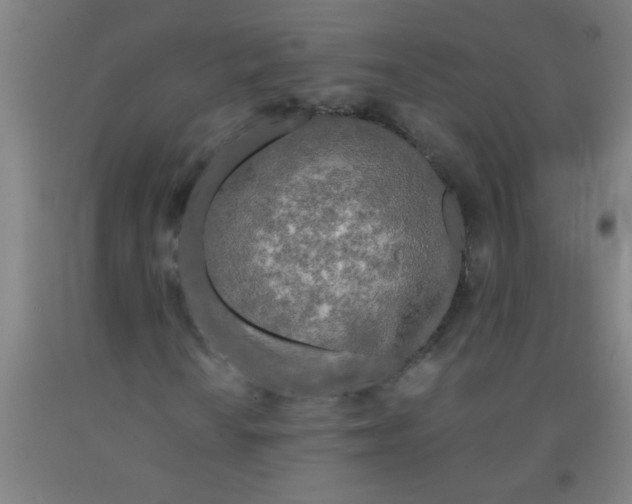 X0000092021010200709271545