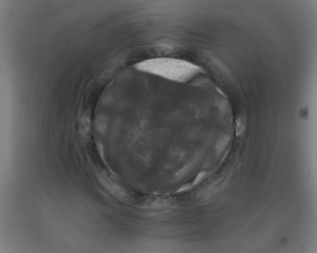 X0000092021011200709271545