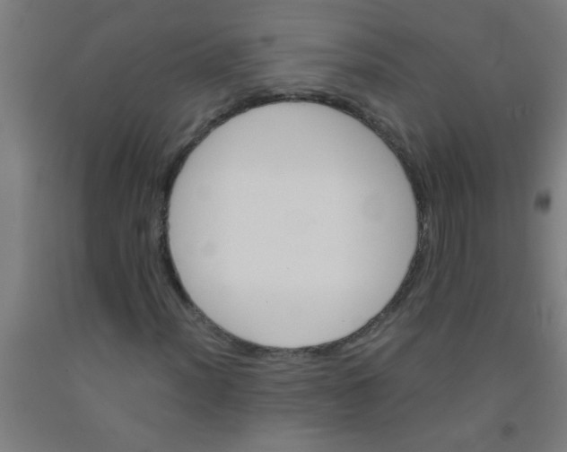 X0000092021012200709271545