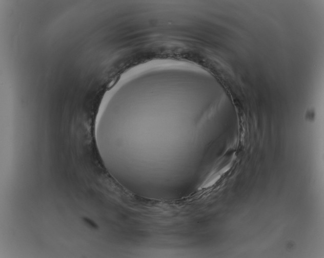 X0000092021013200709271545