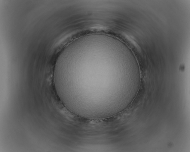 X0000092021015200709271545