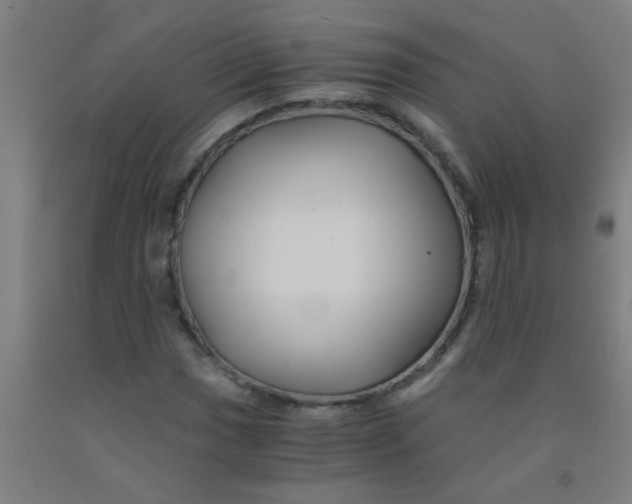 X0000092021017200709271545