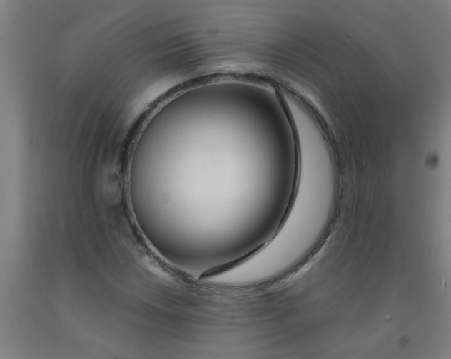 X0000092021018200709271545