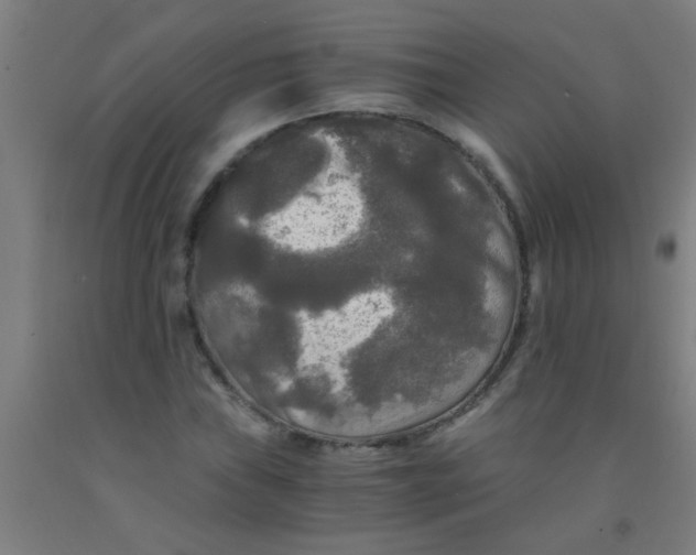 X0000092021019200709271545