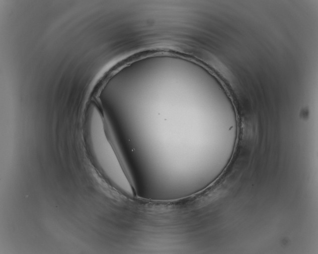 X0000092021020200709271545