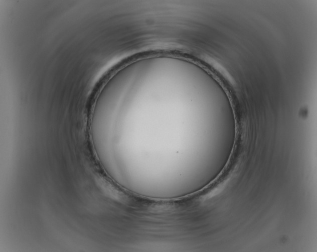 X0000092021021200709271545