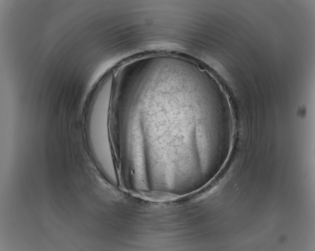 X0000092021022200709271545