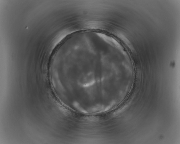 X0000092021023200709271545