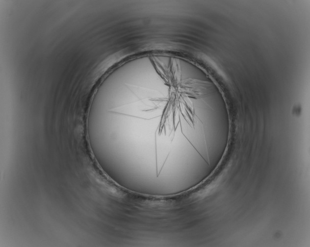 X0000092021025200709271545