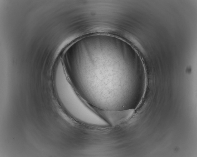 X0000092021026200709271545