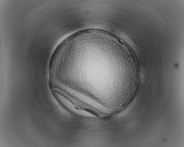 X0000092021028200709271545