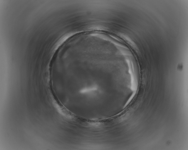 X0000092021031200709271545