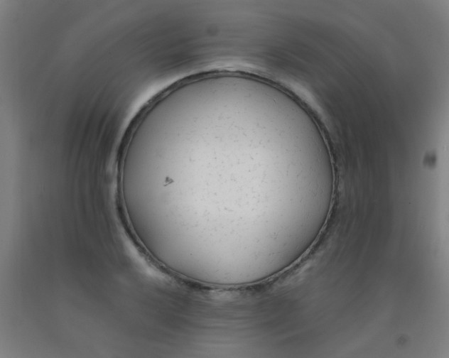 X0000092021032200709271545