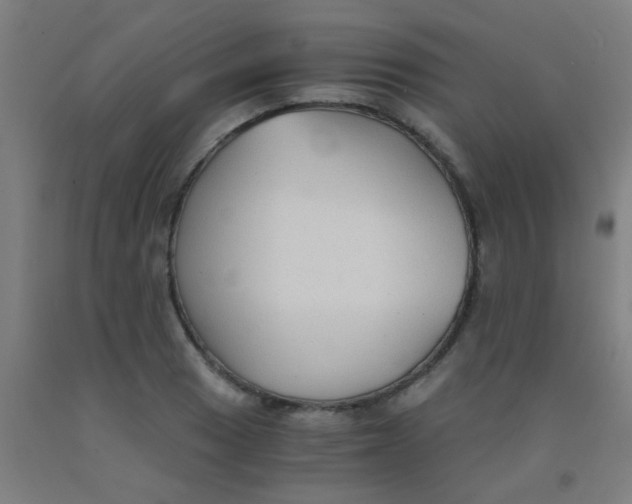 X0000092021033200709271545