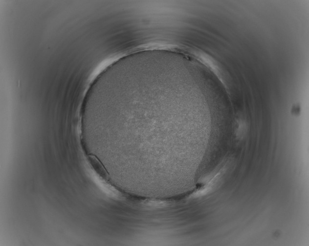 X0000092021034200709271545