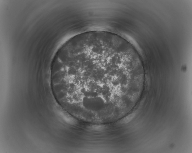 X0000092021035200709271545