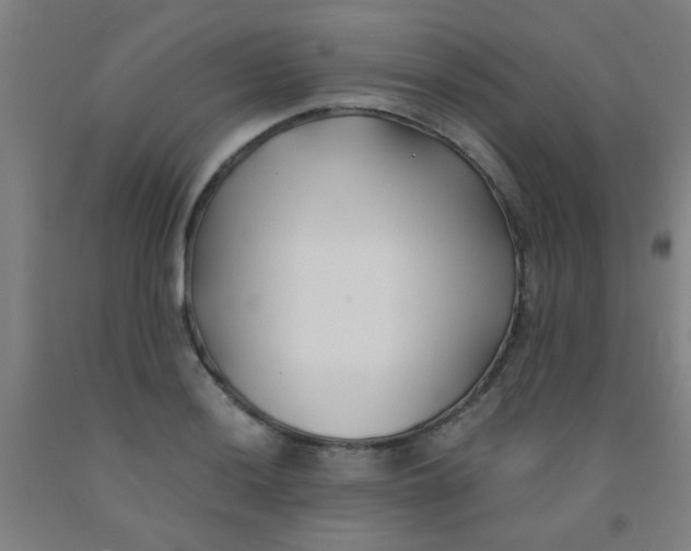 X0000092021036200709271545