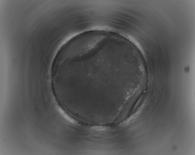 X0000092021037200709271545