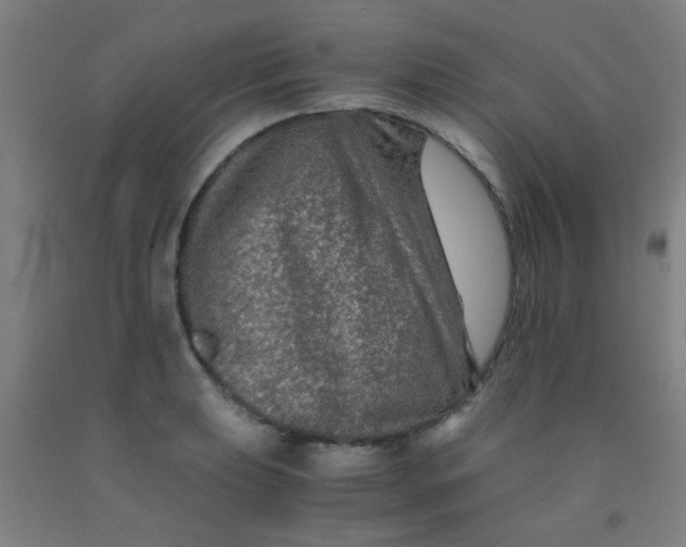 X0000092021039200709271545