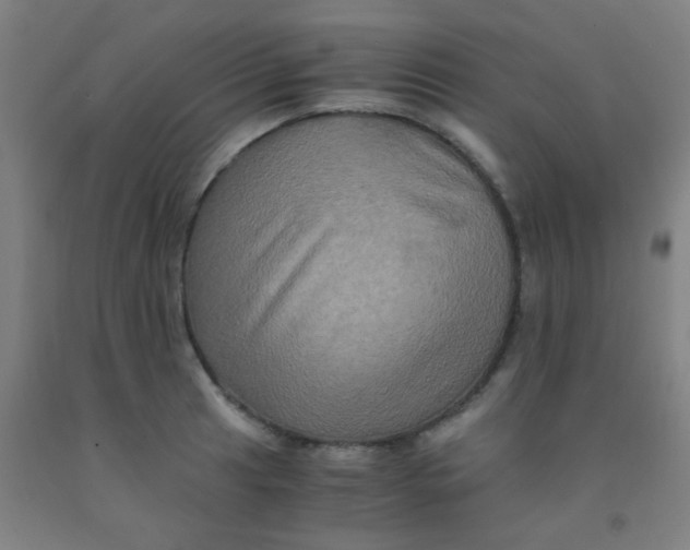 X0000092021041200709271545