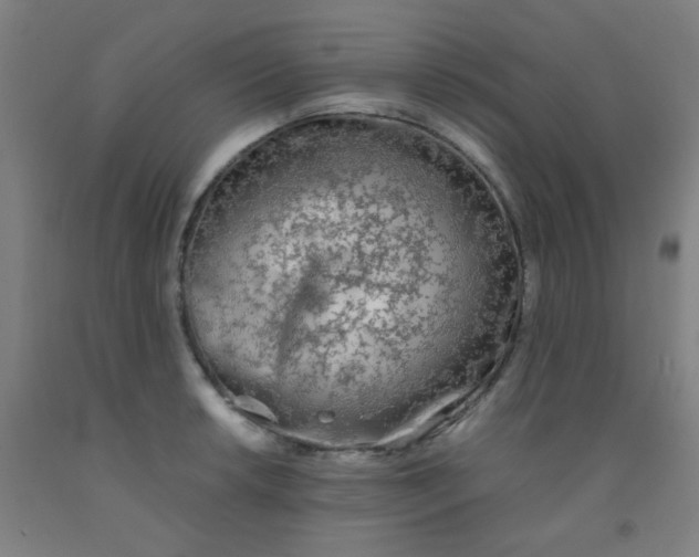 X0000092021042200709271545