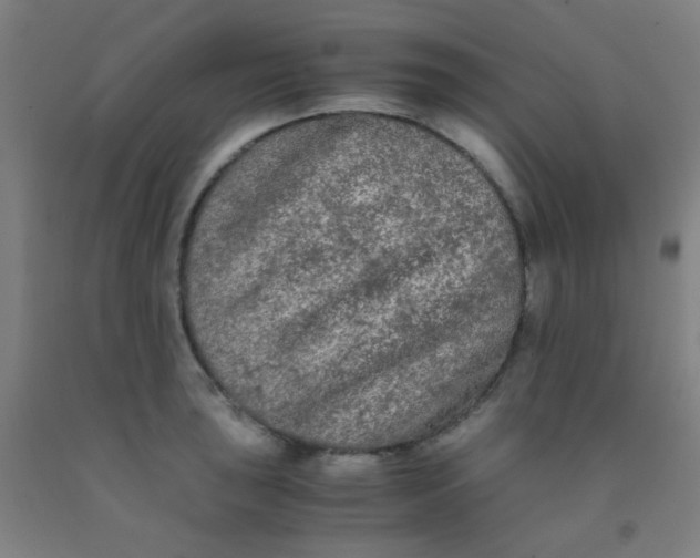 X0000092021043200709271545