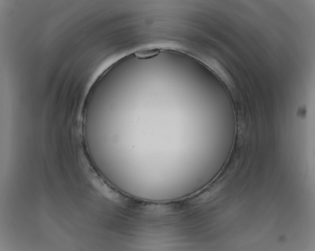 X0000092021044200709271545