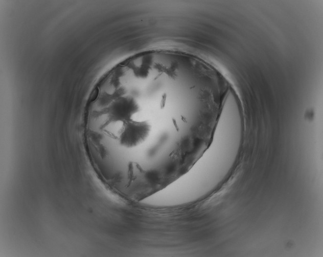 X0000092021045200709271545