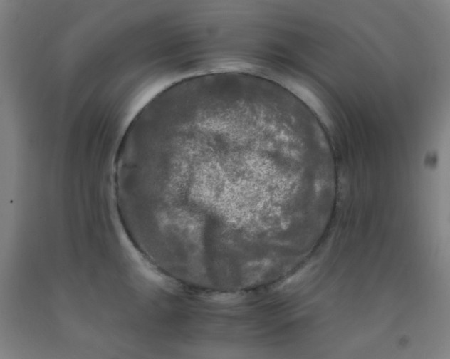 X0000092021047200709271545