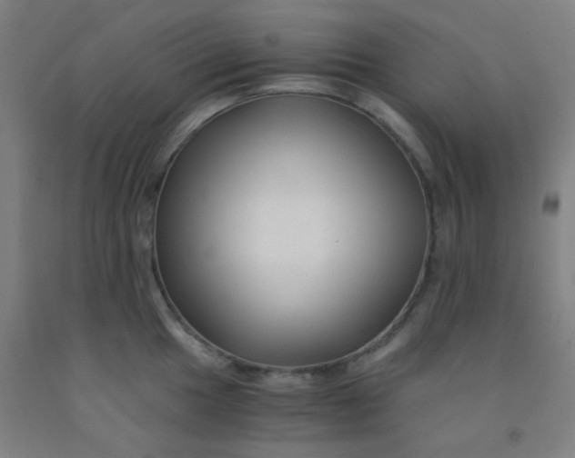 X0000092021049200709271545