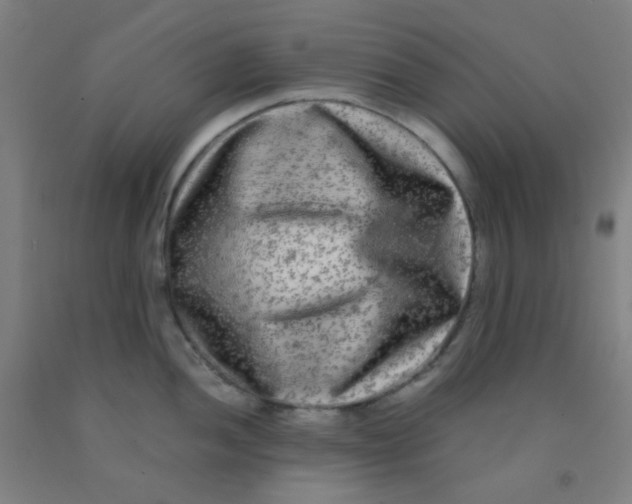 X0000092021052200709271545