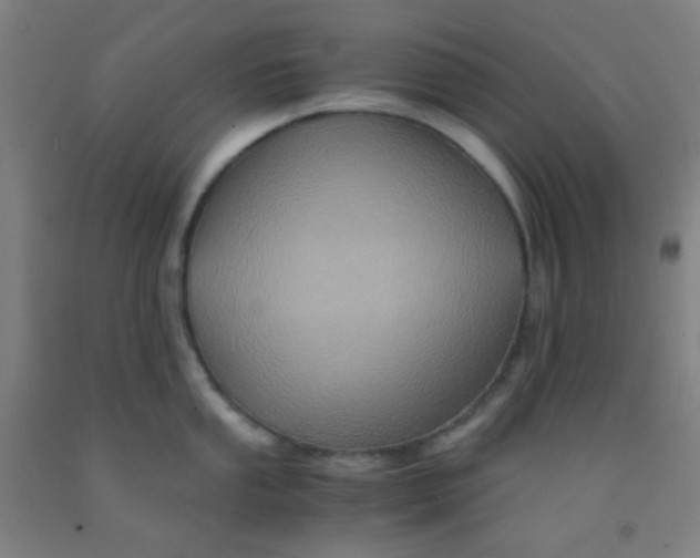 X0000092021053200709271545