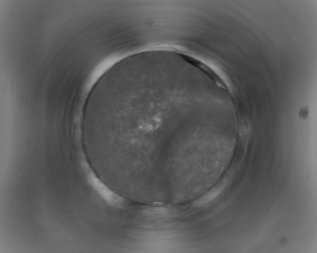 X0000092021054200709271545