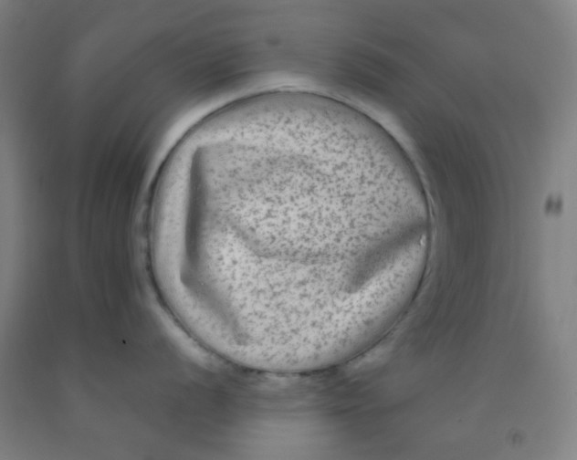 X0000092021056200709271545