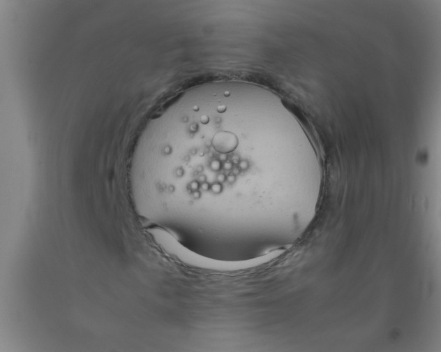 X0000092021057200709271545