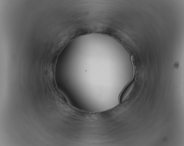 X0000092021058200709271545